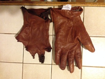 On the right--the glove I retrieved. On the left--the glove Kira devoured. 